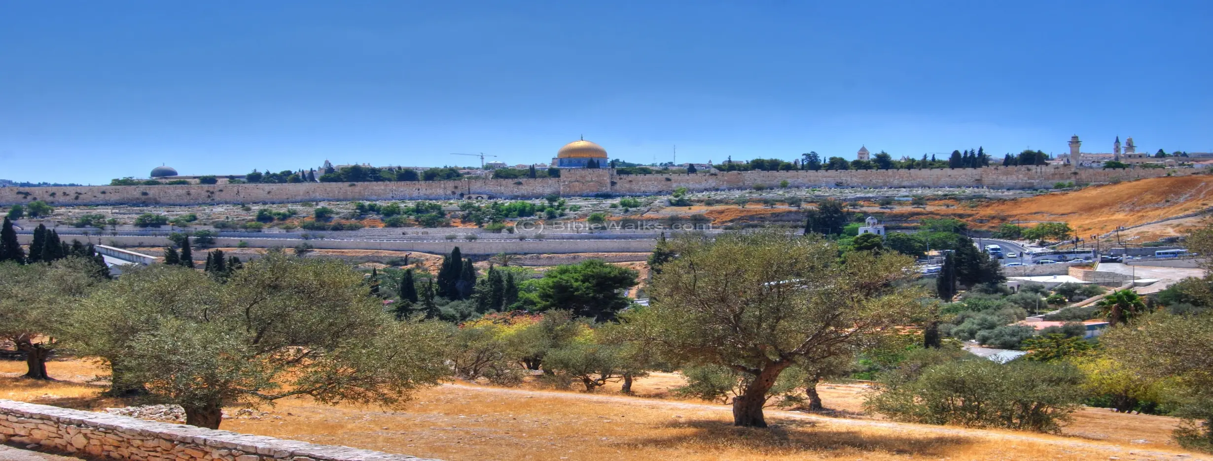Image for Mount of Olives Outlook